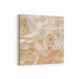 Olla 11582K Çiçek Görseli Kare 25x25 cm Kanvas Tablo