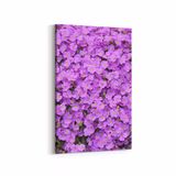 Olla 11587D Çiçek Görseli Dikey 20x30 cm Kanvas Tablo
