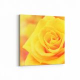 Olla 11592K Çiçek Görseli Kare 25x25 cm Kanvas Tablo