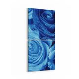 Olla 11598K2D Çiçek Görseli Kare 2 Parça Dikey 30x65 cm Kanvas Tablo