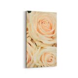 Olla 11619DD Çiçek Görseli Dikey Dar 30x60 cm Kanvas Tablo