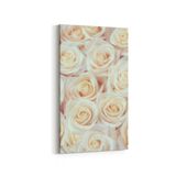 Olla 11632DD Çiçek Görseli Dikey Dar 30x60 cm Kanvas Tablo