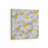 Olla 11633K Çiçek Görseli Kare 25x25 cm Kanvas Tablo