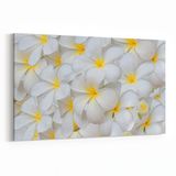 Olla 11633Y Çiçek Görseli Yatay 30x20 cm Kanvas Tablo