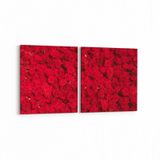 Olla 11639K2Y Çiçek Görseli Kare 2 Parça Yatay 65x30 cm Kanvas Tablo
