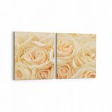 Olla 11642K2Y Çiçek Görseli Kare 2 Parça Yatay 65x30 cm Kanvas Tablo