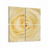 Olla 11644K4 Çiçek Görseli Kare 4 Parça 65x65 cm Kanvas Tablo