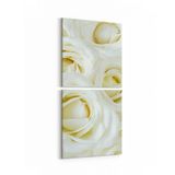 Olla 11646K2D Çiçek Görseli Kare 2 Parça Dikey 30x65 cm Kanvas Tablo
