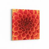 Olla 11647K Çiçek Görseli Kare 25x25 cm Kanvas Tablo