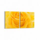 Olla 11648K2Y Çiçek Görseli Kare 2 Parça Yatay 65x30 cm Kanvas Tablo