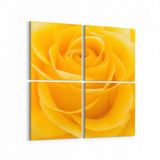 Olla 11648K4 Çiçek Görseli Kare 4 Parça 65x65 cm Kanvas Tablo