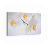 Olla 11707Y Orkide Çiçek Görseli Yatay Kanvas Tablo, Ölçü 90X60