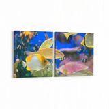 Olla 12055K2Y Akvaryum Balık Görseli Kare 2 Parça Yatay 65x30 cm Kanvas Tablo