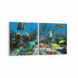 Olla 12056K2Y Akvaryum Balık Görseli Kare 2 Parça Yatay 65x30 cm Kanvas Tablo