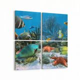 Olla 12056K4 Akvaryum Balık Görseli Kare 4 Parça 65x65 cm Kanvas Tablo