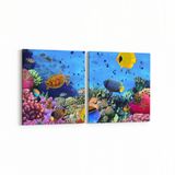 Olla 12058K2Y Akvaryum Balık Görseli Kare 2 Parça Yatay 65x30 cm Kanvas Tablo