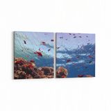 Olla 12059K2Y Akvaryum Balık Görseli Kare 2 Parça Yatay 65x30 cm Kanvas Tablo
