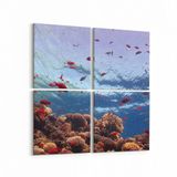 Olla 12059K4 Akvaryum Balık Görseli Kare 4 Parça 65x65 cm Kanvas Tablo