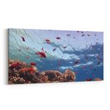 Olla 12059YD Akvaryum Balık Görseli Yatay Dar 60x30 cm Kanvas Tablo