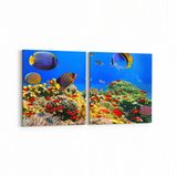 Olla 12060K2Y Akvaryum Balık Görseli Kare 2 Parça Yatay 65x30 cm Kanvas Tablo