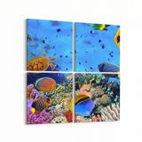 Olla 12061K4 Akvaryum Balık Görseli Kare 4 Parça 65x65 cm Kanvas Tablo