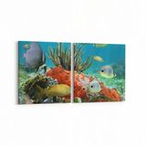 Olla 12064K2Y Akvaryum Balık Görseli Kare 2 Parça Yatay 65x30 cm Kanvas Tablo