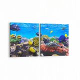 Olla 12067K2Y Akvaryum Balık Görseli Kare 2 Parça Yatay 65x30 cm Kanvas Tablo