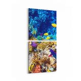 Olla 12070K2D Akvaryum Balık Görseli Kare 2 Parça Dikey 30x65 cm Kanvas Tablo