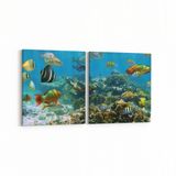 Olla 12071K2Y Akvaryum Balık Görseli Kare 2 Parça Yatay 65x30 cm Kanvas Tablo