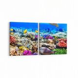 Olla 12072K2Y Akvaryum Balık Görseli Kare 2 Parça Yatay 65x30 cm Kanvas Tablo