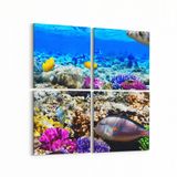 Olla 12072K4 Akvaryum Balık Görseli Kare 4 Parça 65x65 cm Kanvas Tablo
