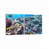 Olla 12073K2Y Akvaryum Balık Görseli Kare 2 Parça Yatay 65x30 cm Kanvas Tablo