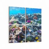 Olla 12073K4 Akvaryum Balık Görseli Kare 4 Parça 65x65 cm Kanvas Tablo