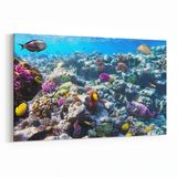 Olla 12073Y Akvaryum Balık Görseli Yatay 30x20 cm Kanvas Tablo