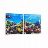 Olla 12074K2Y Akvaryum Balık Görseli Kare 2 Parça Yatay 65x30 cm Kanvas Tablo