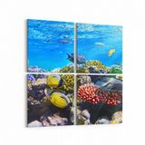 Olla 12074K4 Akvaryum Balık Görseli Kare 4 Parça 65x65 cm Kanvas Tablo