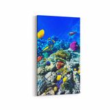 Olla 12075DD Akvaryum Balık Görseli Dikey Dar 30x60 cm Kanvas Tablo