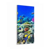 Olla 12075K2D Akvaryum Balık Görseli Kare 2 Parça Dikey 30x65 cm Kanvas Tablo