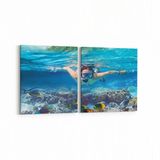 Olla 12076K2Y Akvaryum Balık Görseli Kare 2 Parça Yatay 65x30 cm Kanvas Tablo