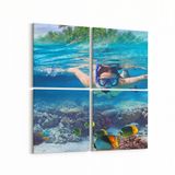 Olla 12076K4 Akvaryum Balık Görseli Kare 4 Parça 65x65 cm Kanvas Tablo