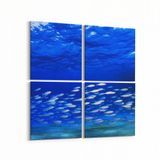 Olla 12080K4 Akvaryum Balık Görseli Kare 4 Parça 65x65 cm Kanvas Tablo