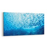 Olla 12081YD Akvaryum Balık Görseli Yatay Dar 60x30 cm Kanvas Tablo