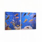 Olla 12088K2Y Akvaryum Balık Görseli Kare 2 Parça Yatay 65x30 cm Kanvas Tablo