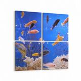 Olla 12088K4 Akvaryum Balık Görseli Kare 4 Parça 65x65 cm Kanvas Tablo