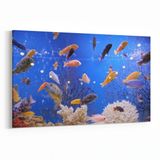 Olla 12088Y Akvaryum Balık Görseli Yatay 30x20 cm Kanvas Tablo