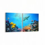 Olla 12089K2Y Akvaryum Balık Görseli Kare 2 Parça Yatay 65x30 cm Kanvas Tablo