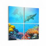 Olla 12089K4 Akvaryum Balık Görseli Kare 4 Parça 65x65 cm Kanvas Tablo