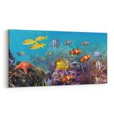 Olla 12091YD Akvaryum Balık Görseli Yatay Dar 60x30 cm Kanvas Tablo