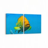 Olla 12092K2Y Akvaryum Balık Görseli Kare 2 Parça Yatay 65x30 cm Kanvas Tablo