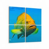 Olla 12092K4 Akvaryum Balık Görseli Kare 4 Parça 65x65 cm Kanvas Tablo